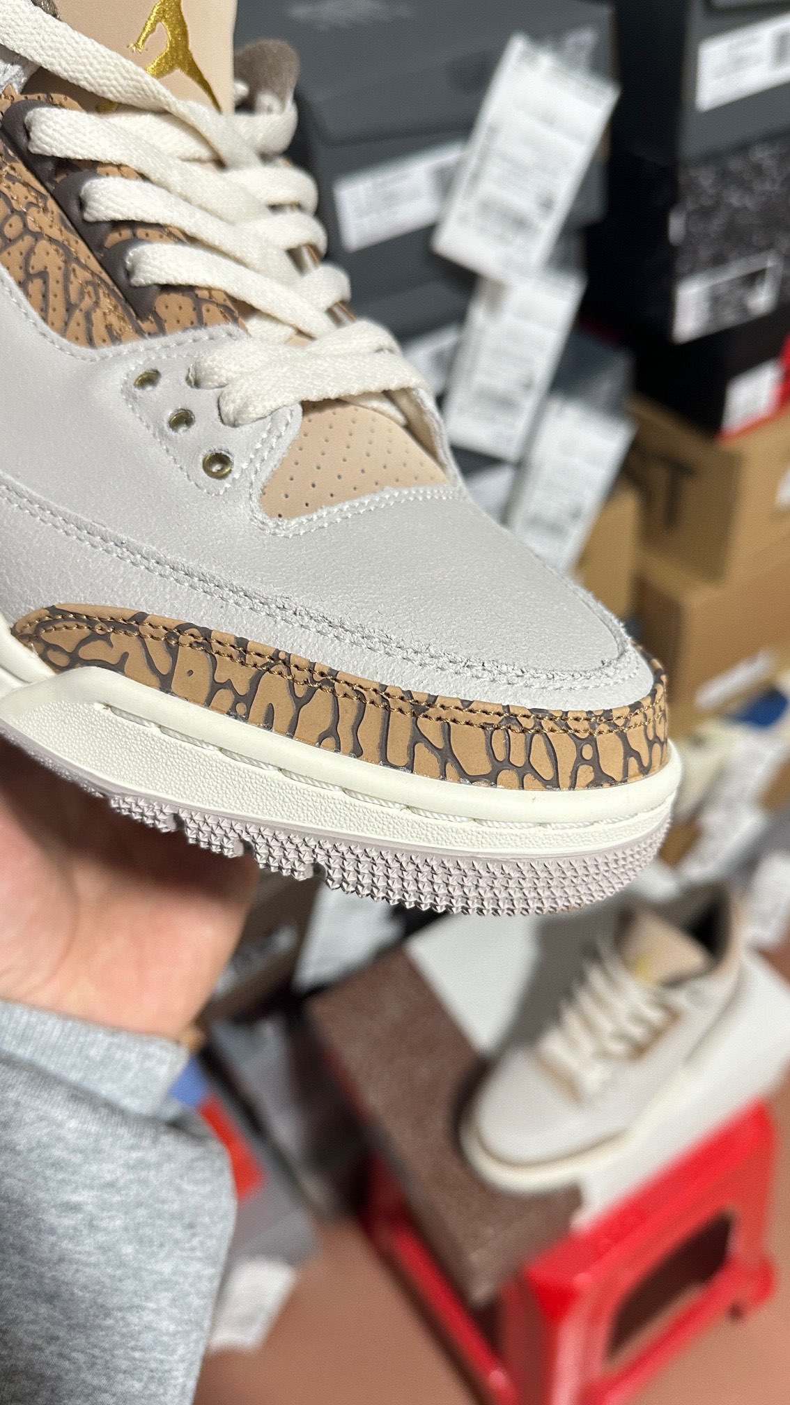 Nike Jordan shoe